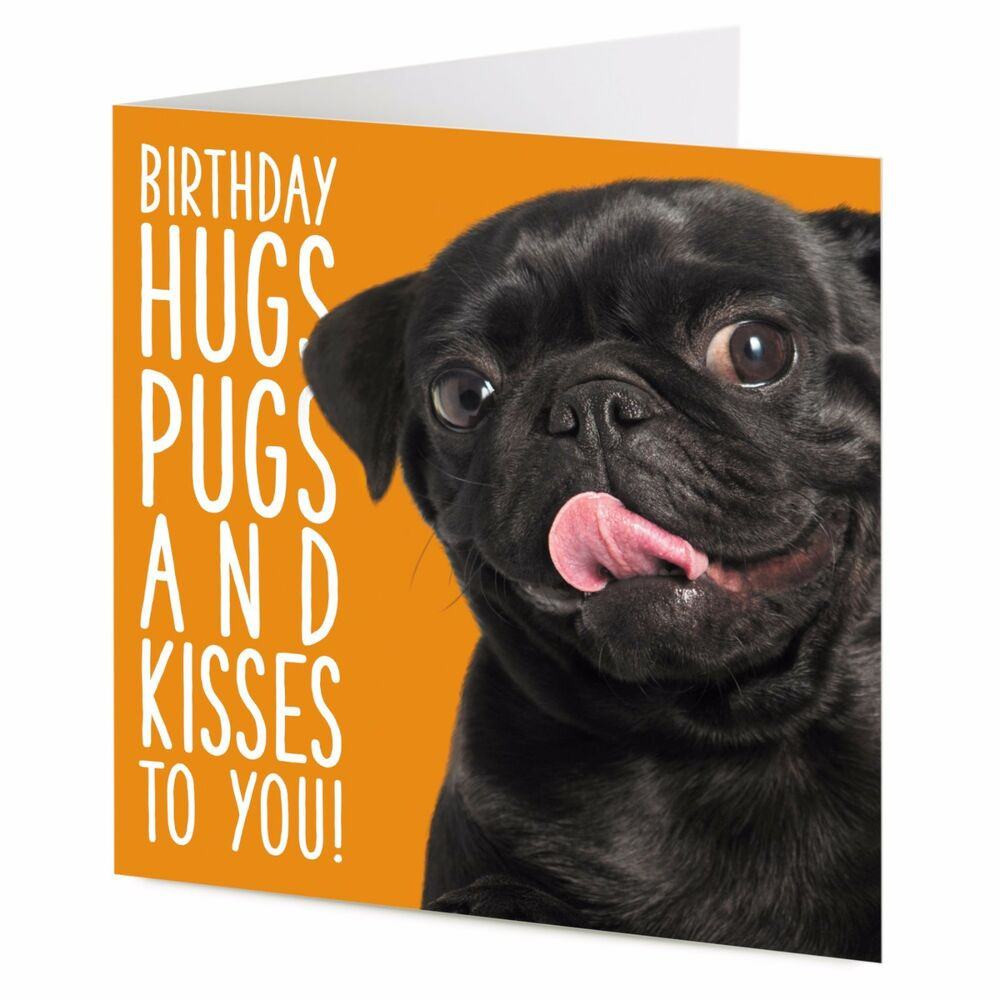 Pug Birthday Cards
 Birthday hugs pugs and kisses to you Smiley cute black