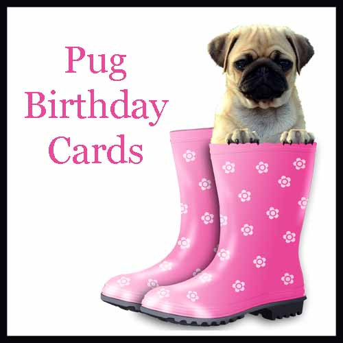 Pug Birthday Cards
 Celebrate The Wrinkles With These Pug Birthday Cards