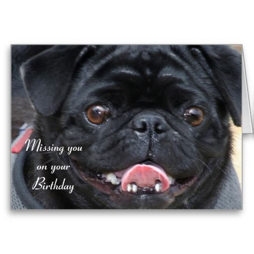 Pug Birthday Cards
 17 Best images about Pug birthday ideas on Pinterest