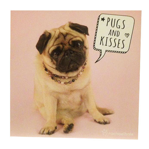 Pug Birthday Cards
 Cute Pugs & Kisses Birthday Card