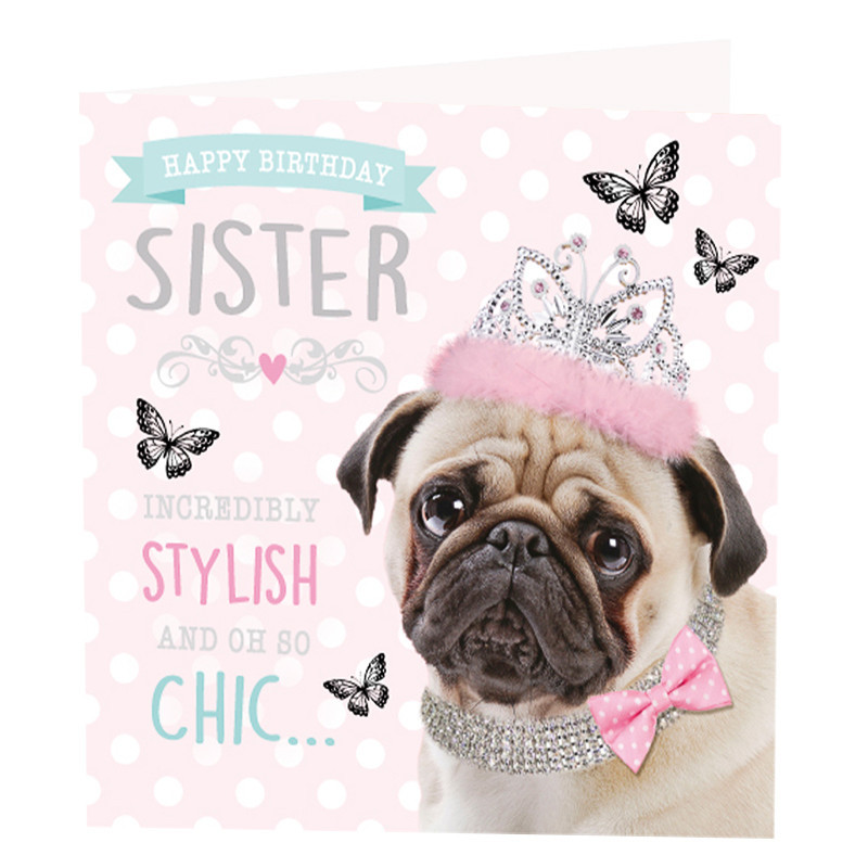 Pug Birthday Cards
 Sister Pug Birthday Card Greeting Cards