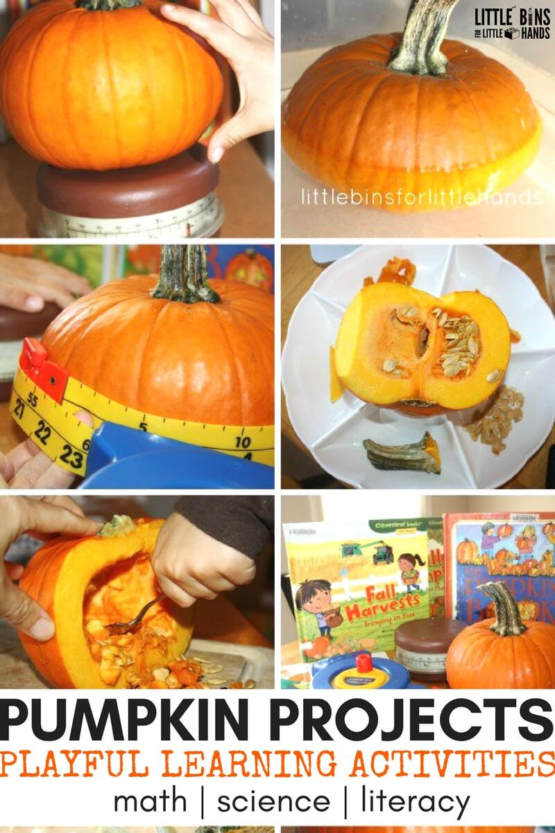 Pumpkin Craft Ideas Preschool
 Pumpkin Activities For Preschoolers