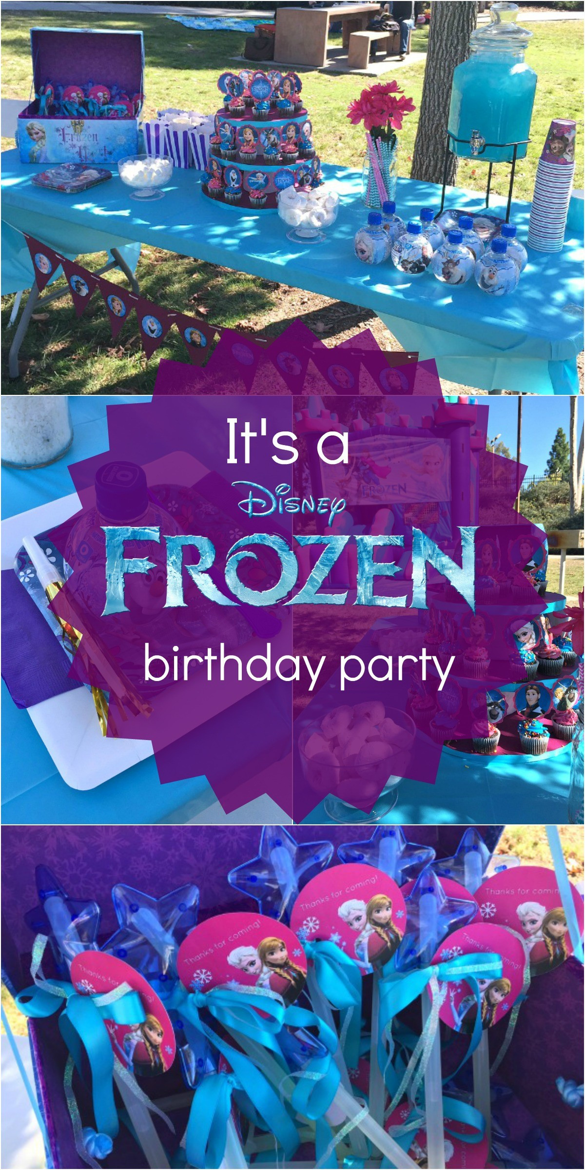 Purple Themed Birthday Party
 Disney s Frozen Birthday Party Ideas Pink Purple Blue