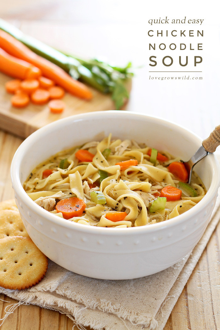 Quick And Easy Chicken Soup
 Quick and Easy Chicken Noodle Soup Love Grows Wild