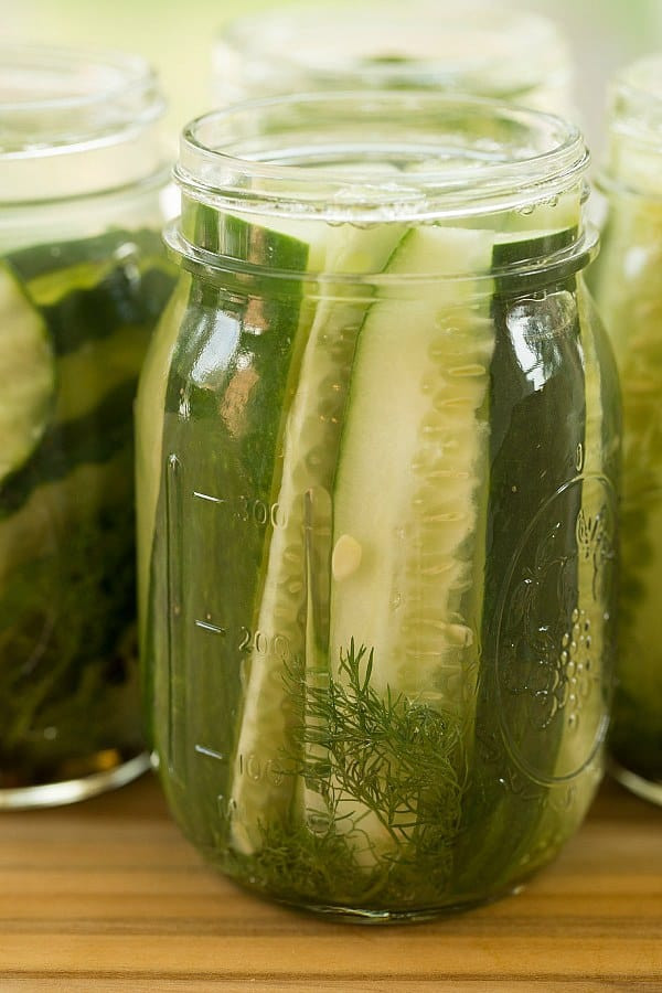Quick Refrigerator Dill Pickles
 Quick & Easy Refrigerator Dill Pickles