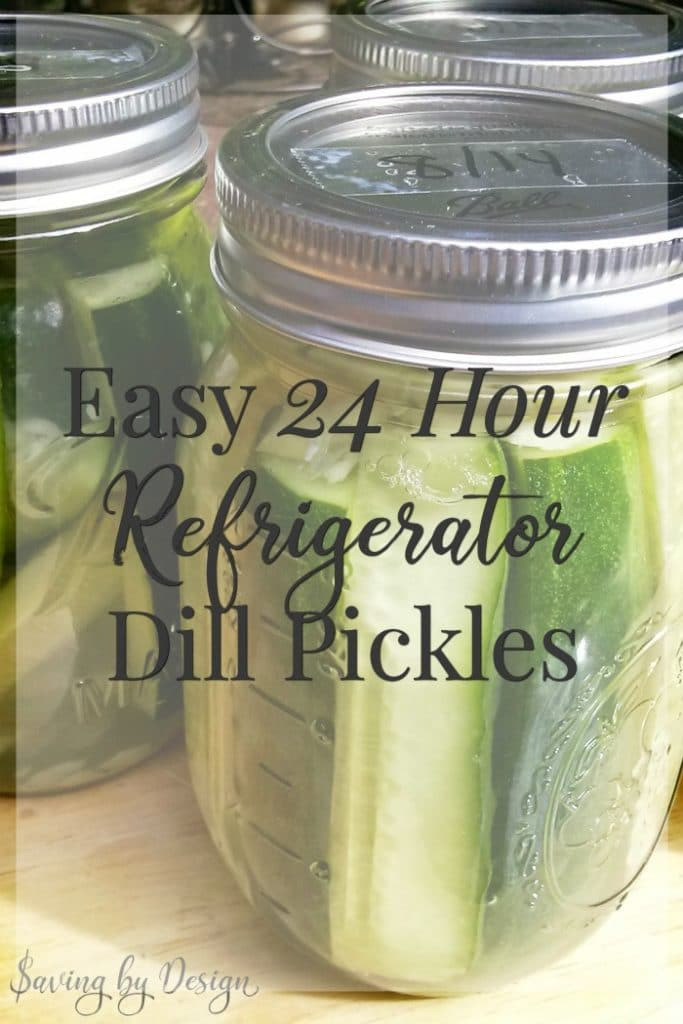 Quick Refrigerator Dill Pickles
 Dill Pickle Recipe