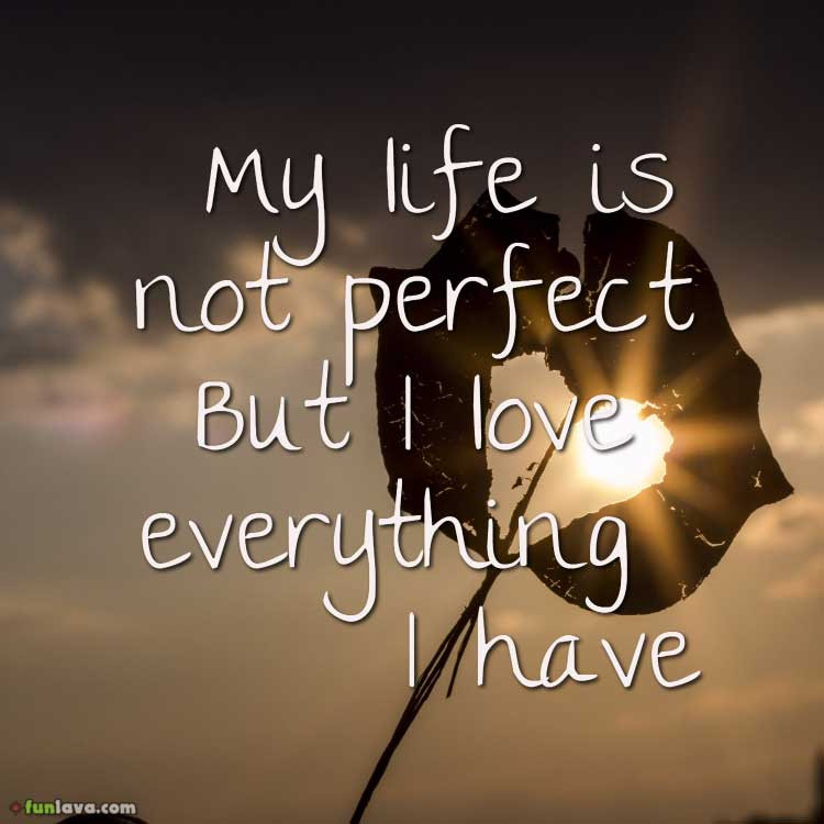 Quotes About My Life
 I love my life quotes for your inspiration
