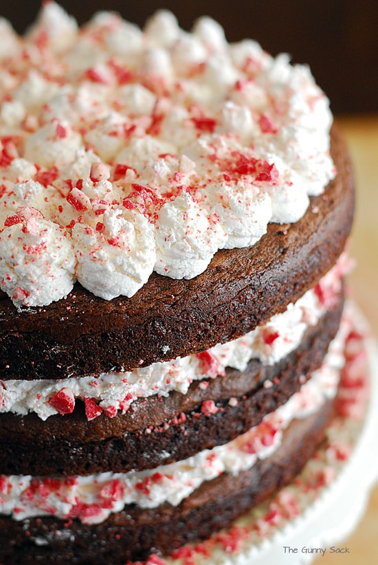 Recipe For Christmas Desserts
 Chocolate Peppermint Torte