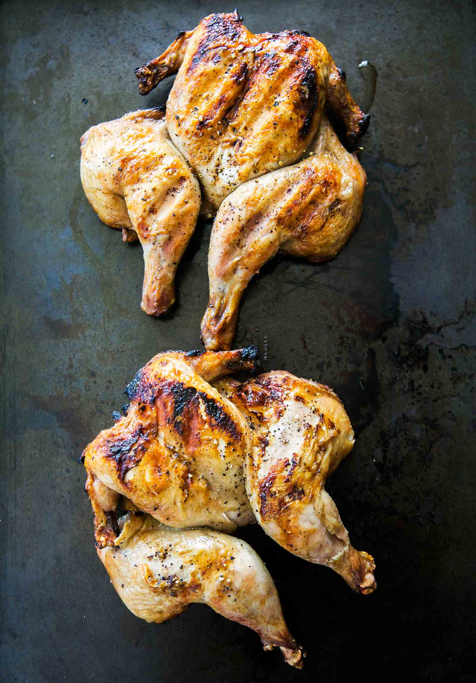 Recipes Cornish Game Hens
 Grilled Cornish Game Hens Recipe