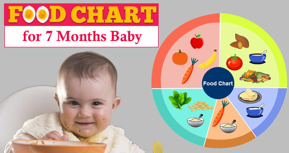 Recipes For 7 Month Old Baby
 Food Chart for 7 Months Baby with Recipe and Timetable