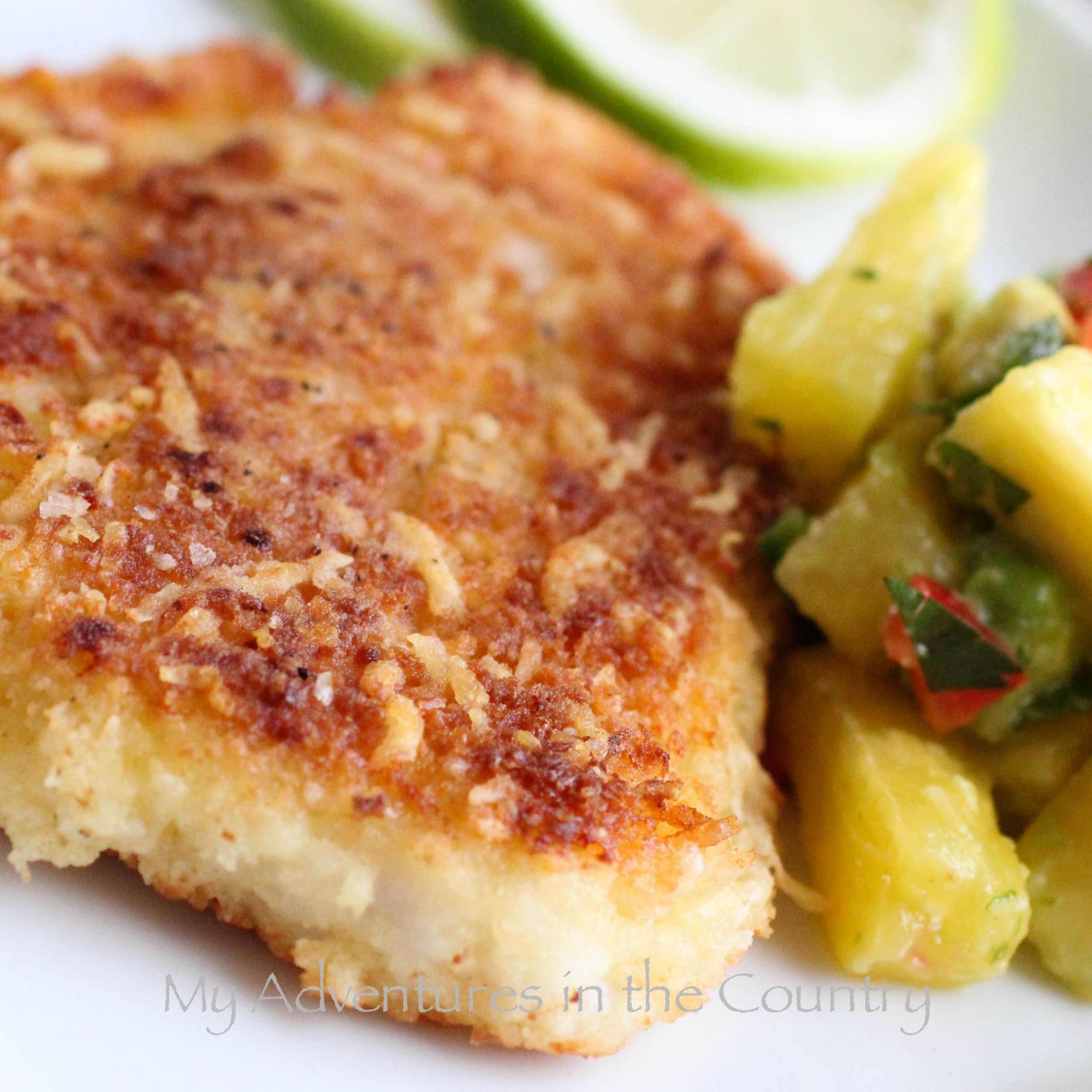 Recipes For Swai Fish
 Panko and Parmesan Crusted Swai