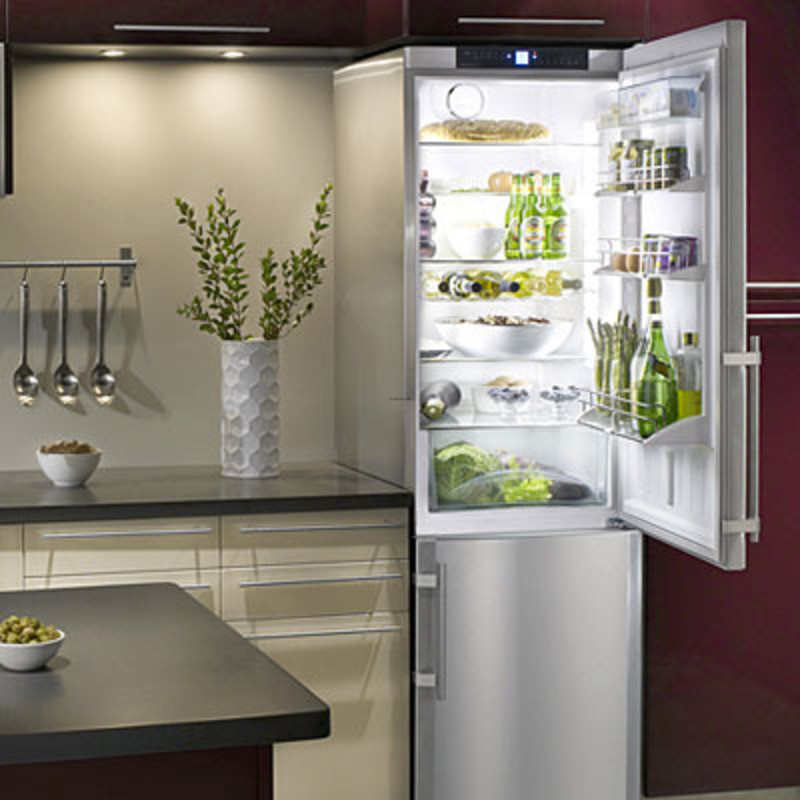 Refrigerators For Small Kitchen
 Ideas For A Small Kitchen Liebherr Refrigerator design