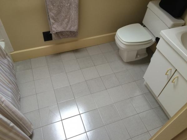 Replacement Bathroom Tile
 Bathroom remodel prepping subfloor for replacing tile