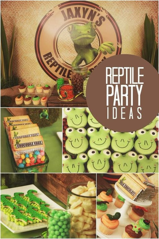 Reptile Birthday Party
 A Boy s Reptile Themed Birthday Party