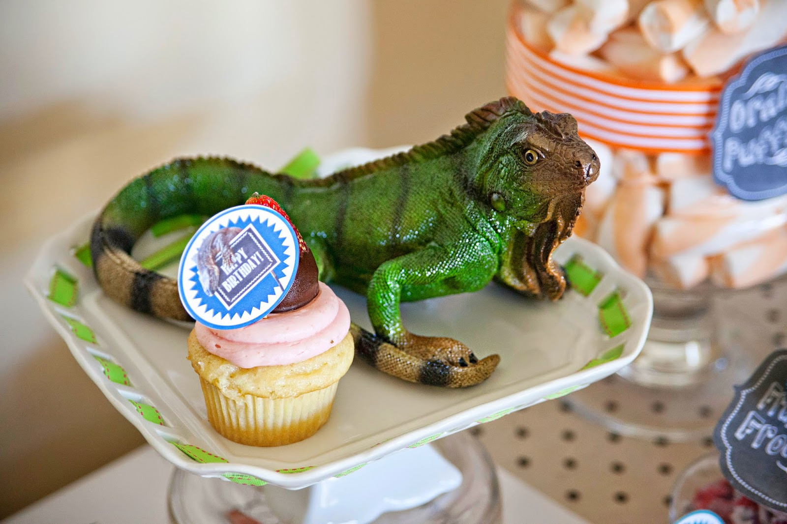 Reptile Birthday Party
 Melinda Bryant graphy A Reptile Birthday Party