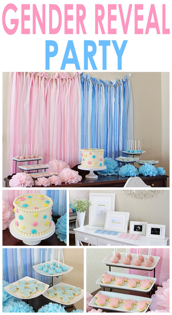 Reveal Gender Party Ideas
 Gender Reveal Party