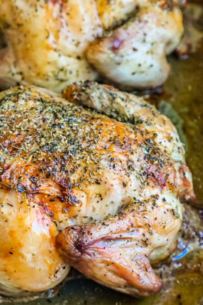 Roasted Cornish Game Hens Recipes
 The Best Roasted Cornish Game Hens Recipe Sweet Cs Designs