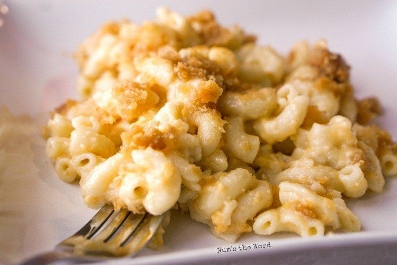 Ronzoni Baked Macaroni And Cheese
 Ronzoni Recipes Macaroni And Cheese