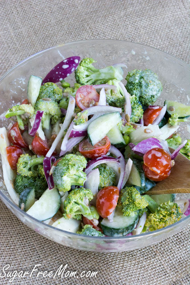 Salad Dressings Without Sugar
 Sugar Free Mayo Free Broccoli Salad