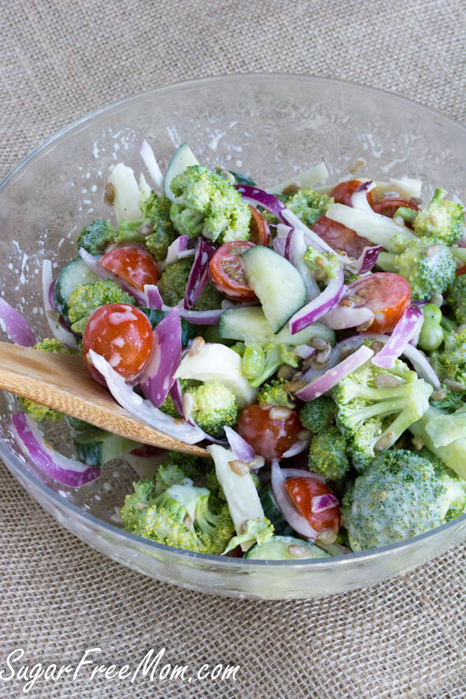 Salad Dressings Without Sugar
 Sugar Free Mayo Free Broccoli Salad