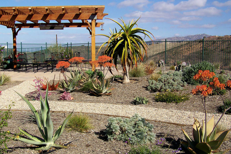 San Diego Landscape Design
 Landscape Designer San Diego