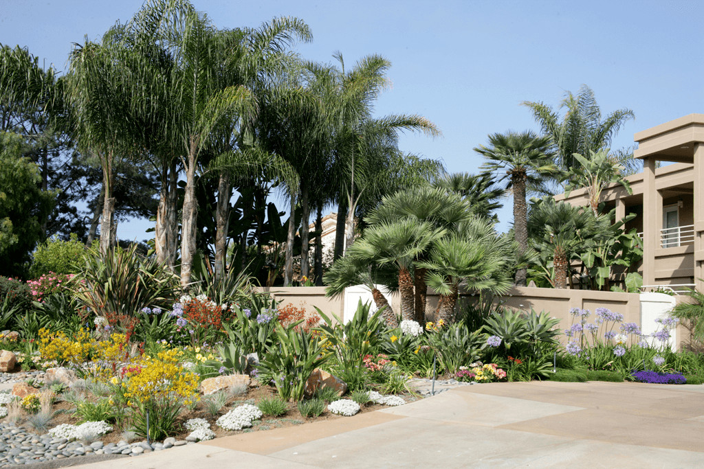 San Diego Landscape Design
 Landscaping & Landscape Design of San Diego