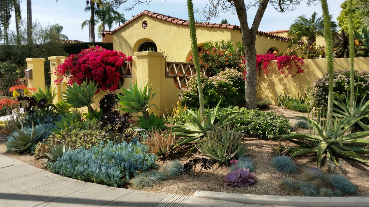 San Diego Landscape Design
 Garden Landscape Designer San Diego Landscaping with