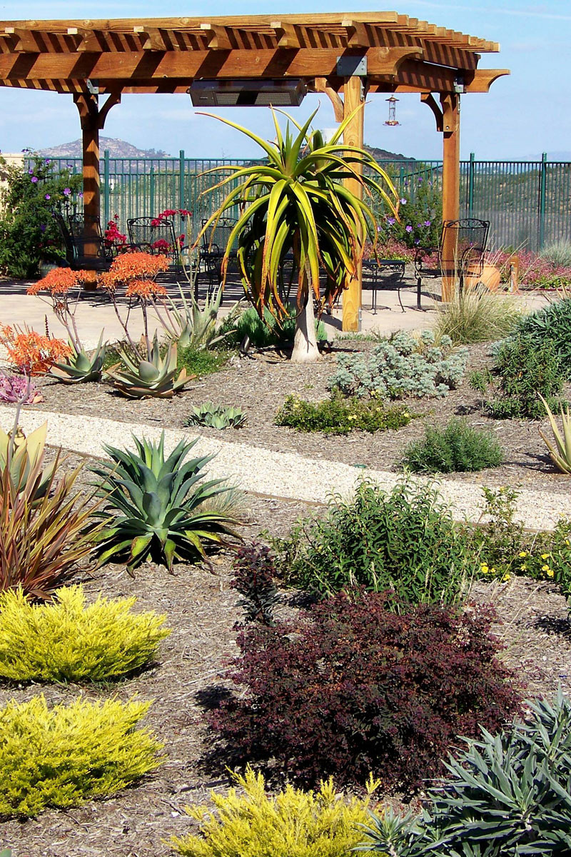 San Diego Landscape Design
 Landscape Designer San Diego