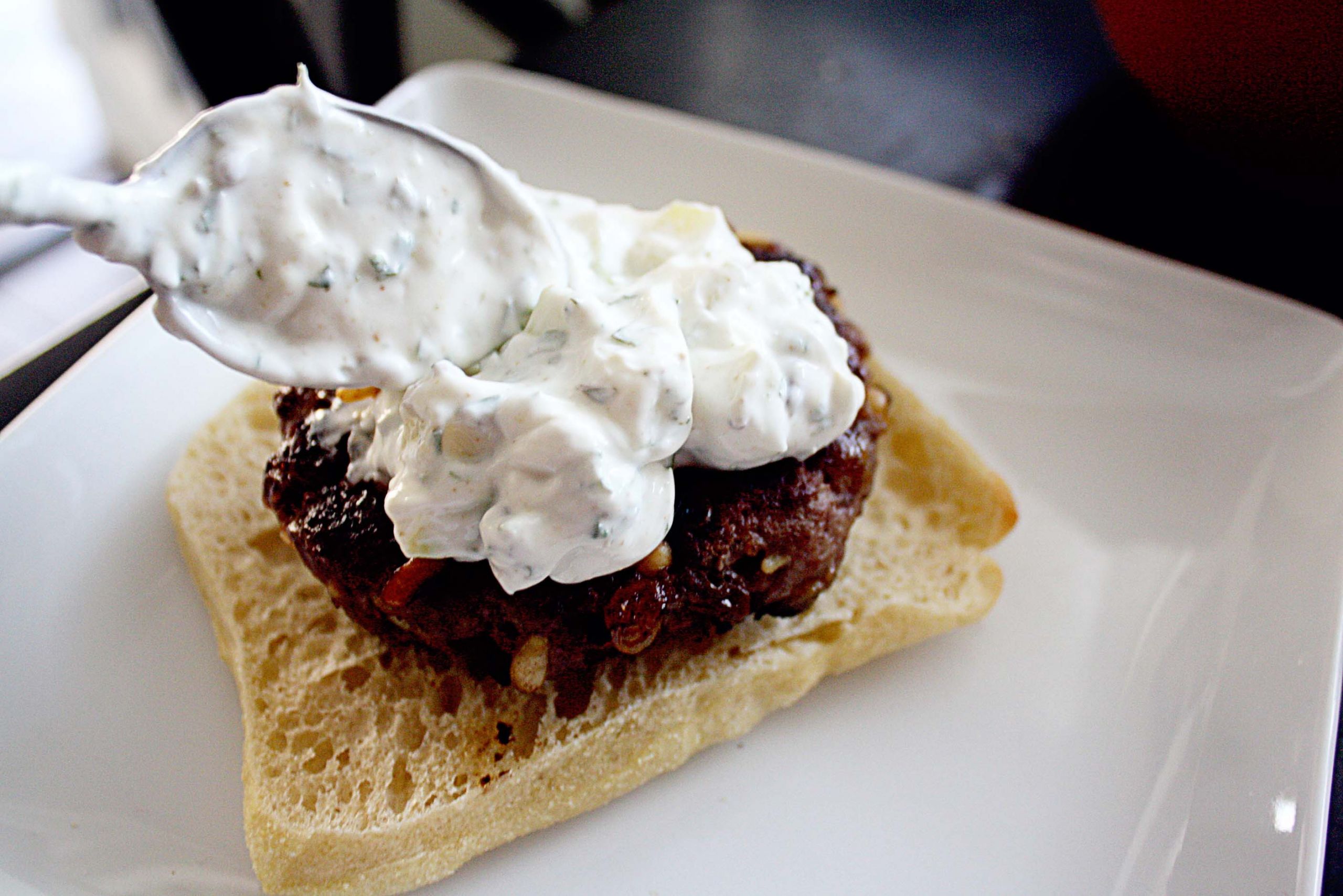 Sauces For Lamb Burgers
 Raisin Lamb Burgers with Mint Yogurt Sauce • Steele House