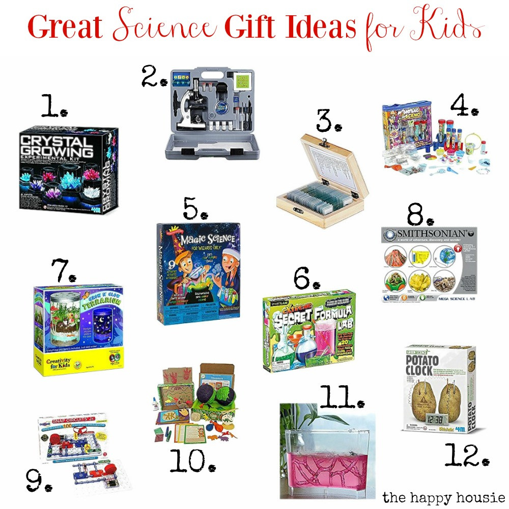 Scientific Gifts For Kids
 Great Science Gift Ideas for Kids