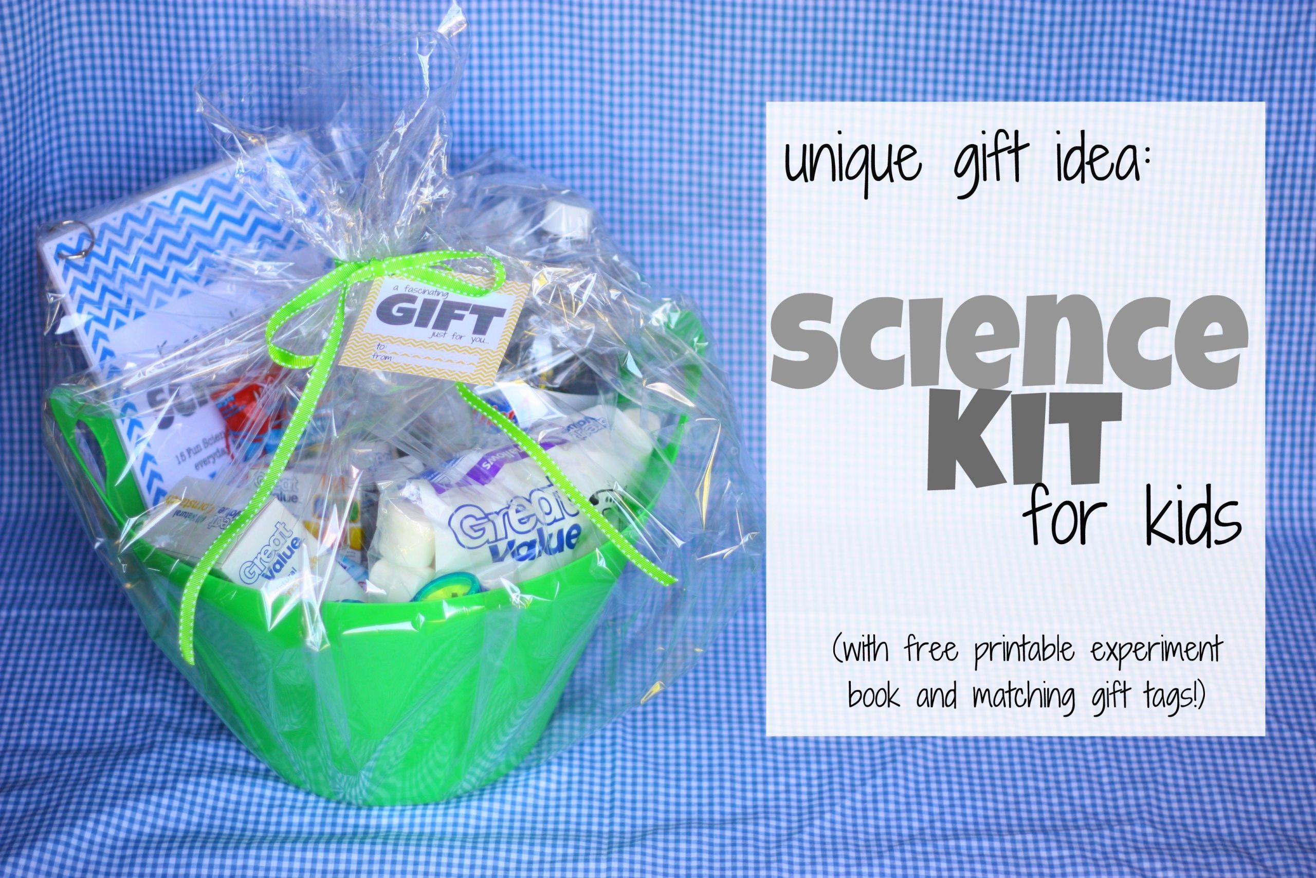 Scientific Gifts For Kids
 Gift Idea Science Kit for Kids with free printables I