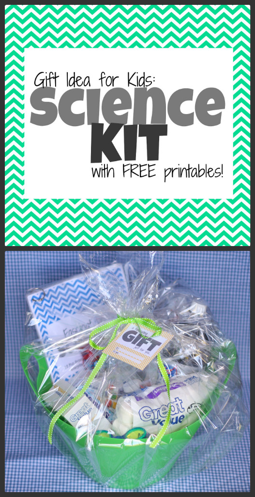 Scientific Gifts For Kids
 Gift Idea Science Kit for Kids with free printables I