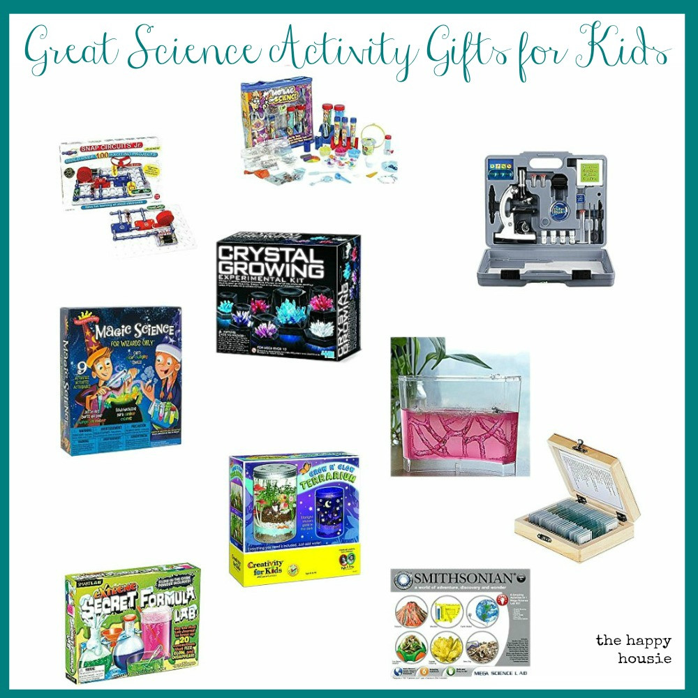 Scientific Gifts For Kids
 The Happy Housie home isn t built in a day enjoy the