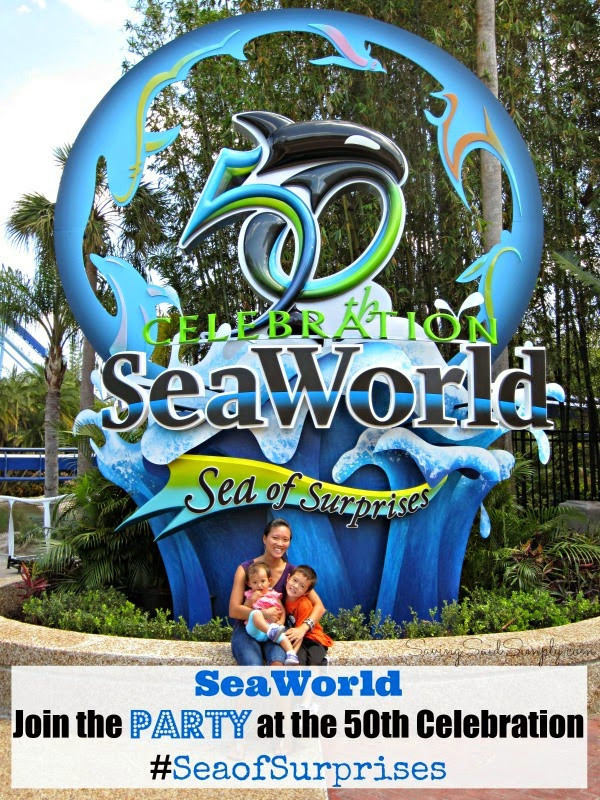 Seaworld Birthday Party
 30 Best Ideas Seaworld Birthday Party Home Family