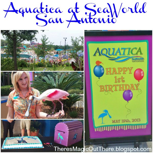 Seaworld Birthday Party
 There s Magic Out There SeaWorld San Antonio s Aquatica