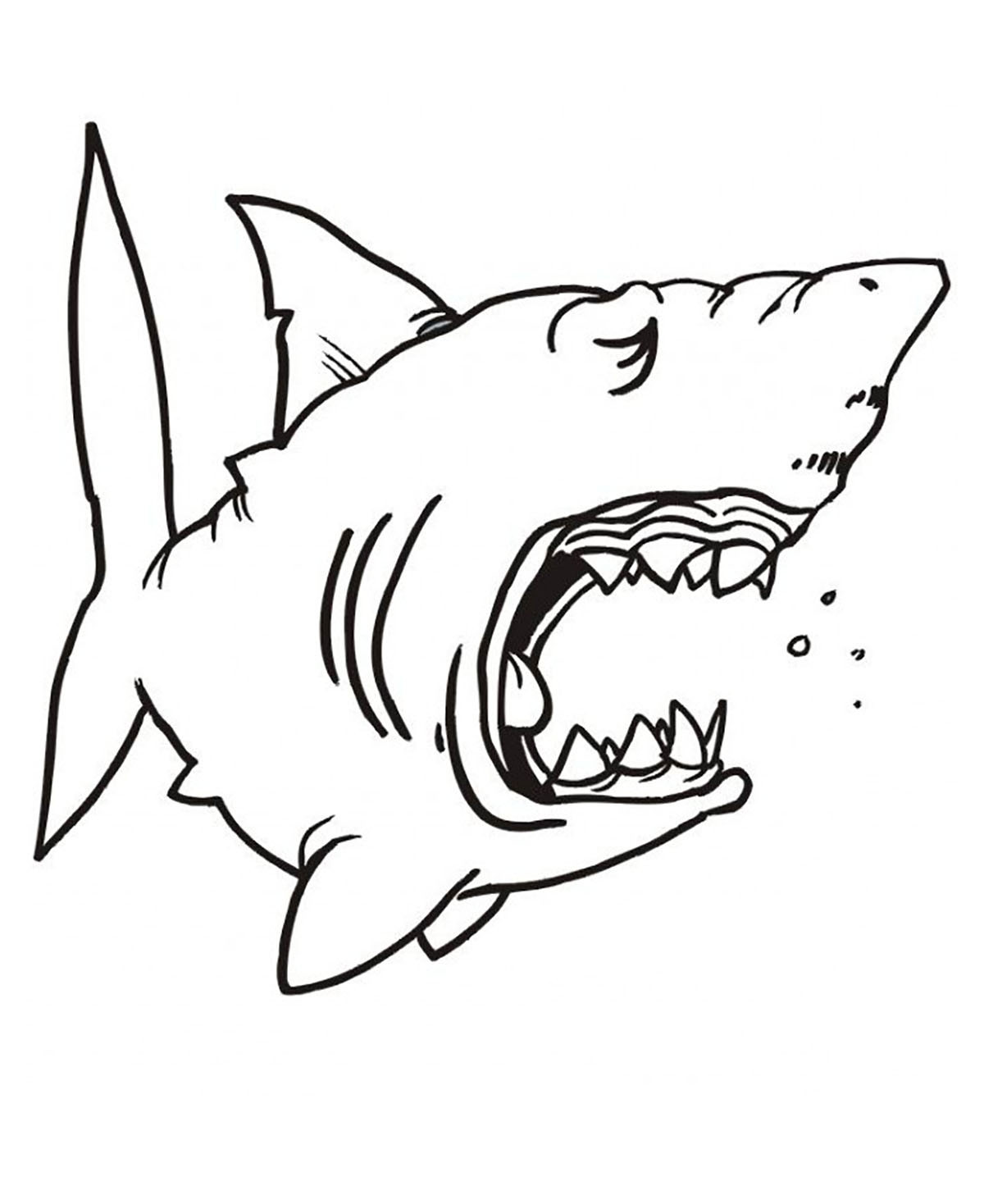 Shark Coloring Pages For Kids
 Sharks for children Sharks Kids Coloring Pages