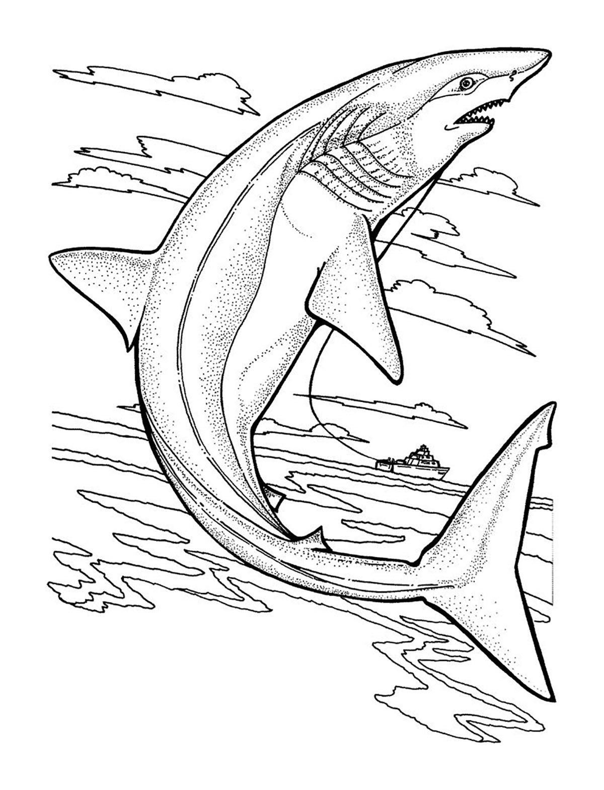 Shark Coloring Pages For Kids
 Sharks to print for free Sharks Kids Coloring Pages