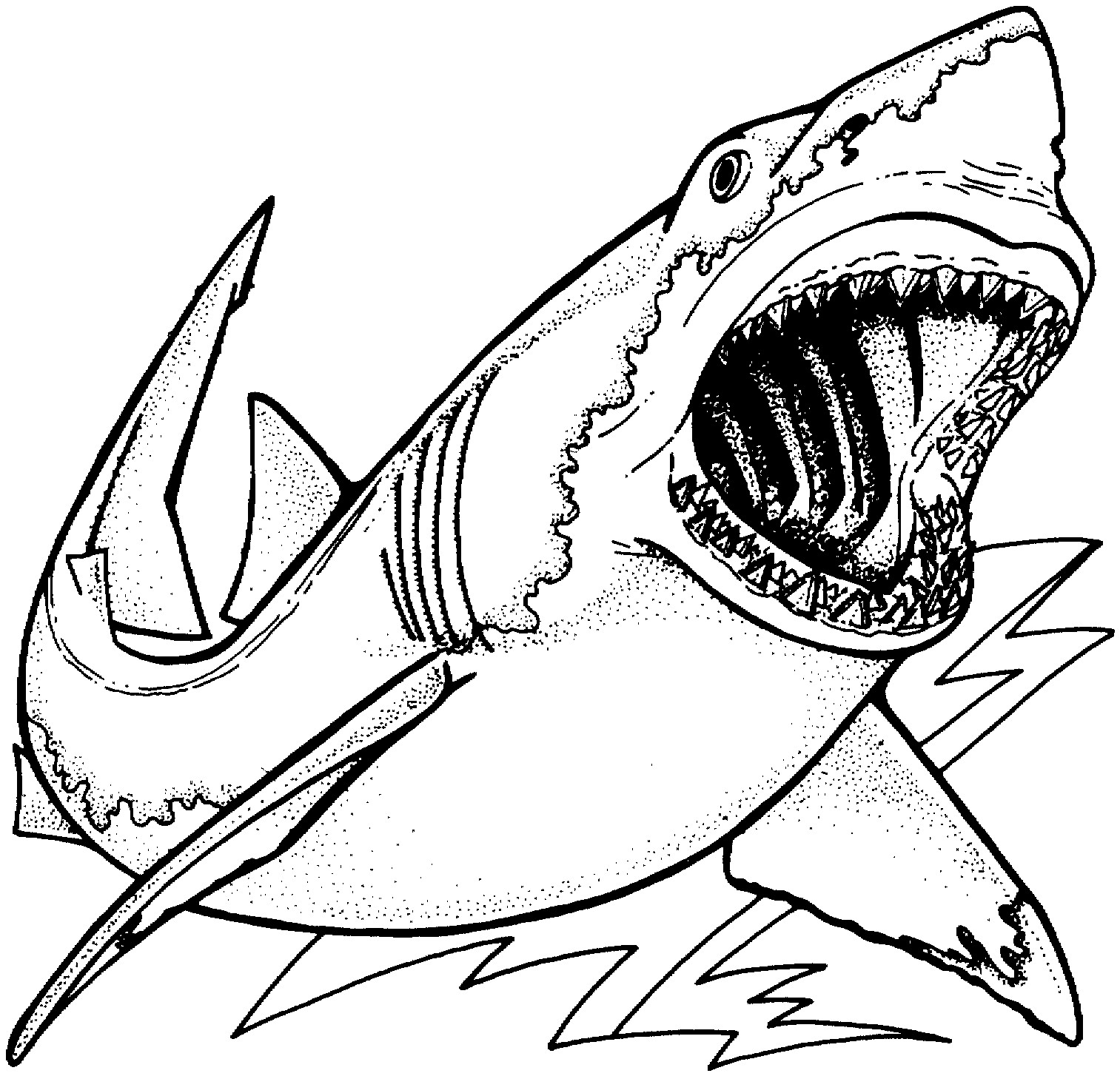 Shark Coloring Pages For Kids
 Free Shark Coloring Pages