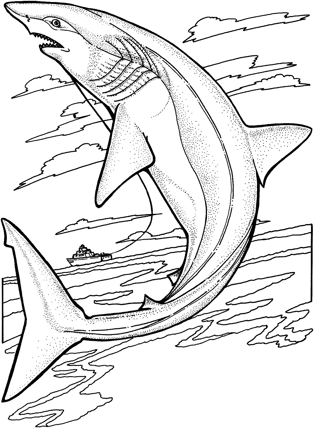 Shark Coloring Pages For Kids
 Free Shark Coloring Pages