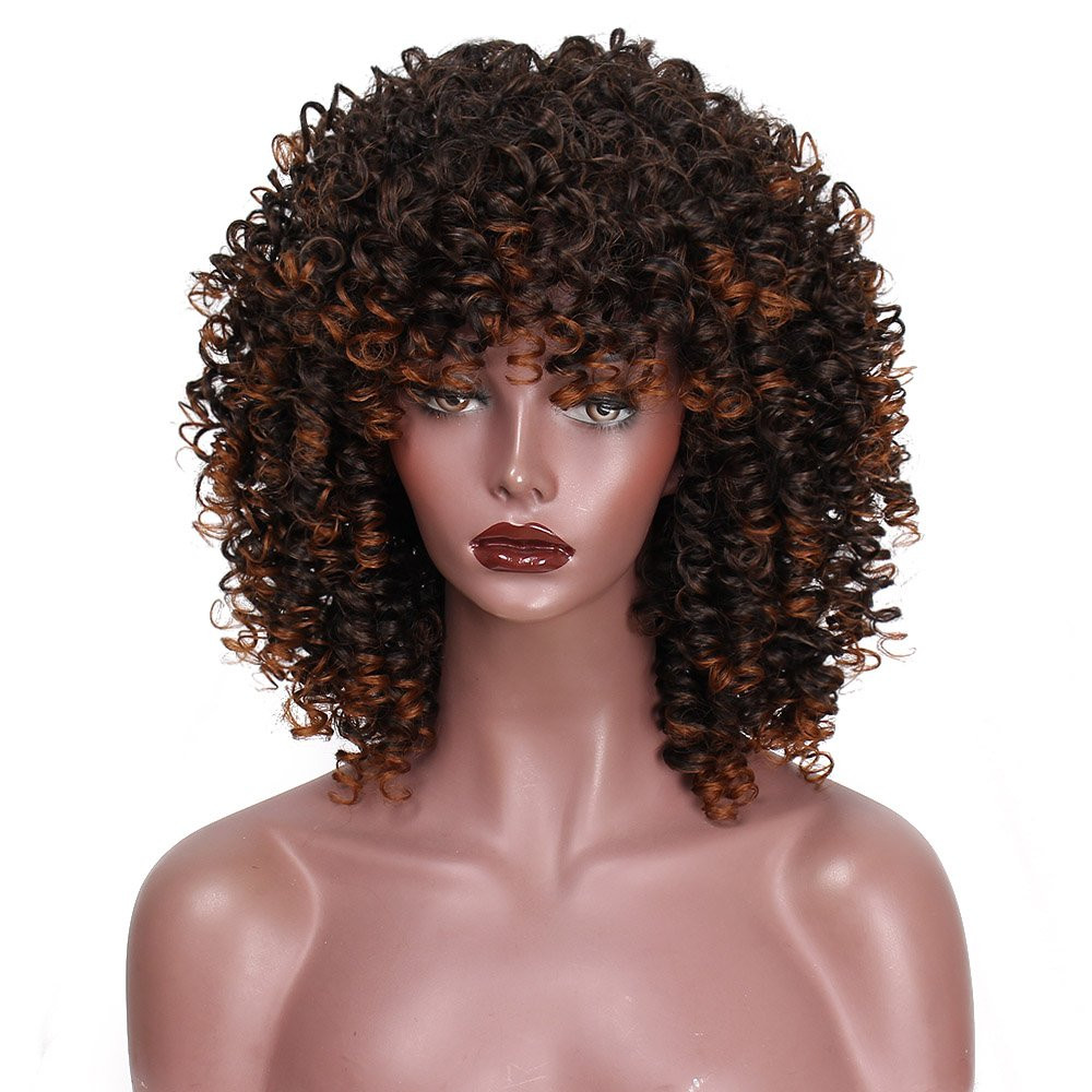 Short Black Hairstyle Wigs
 AISI HAIR Mixed Wig Curly Synthetic Hair for Black Women