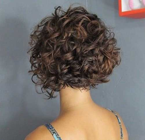 Short Bobbed Curly Hairstyles
 20 New Bob Haircuts for Curly Hair