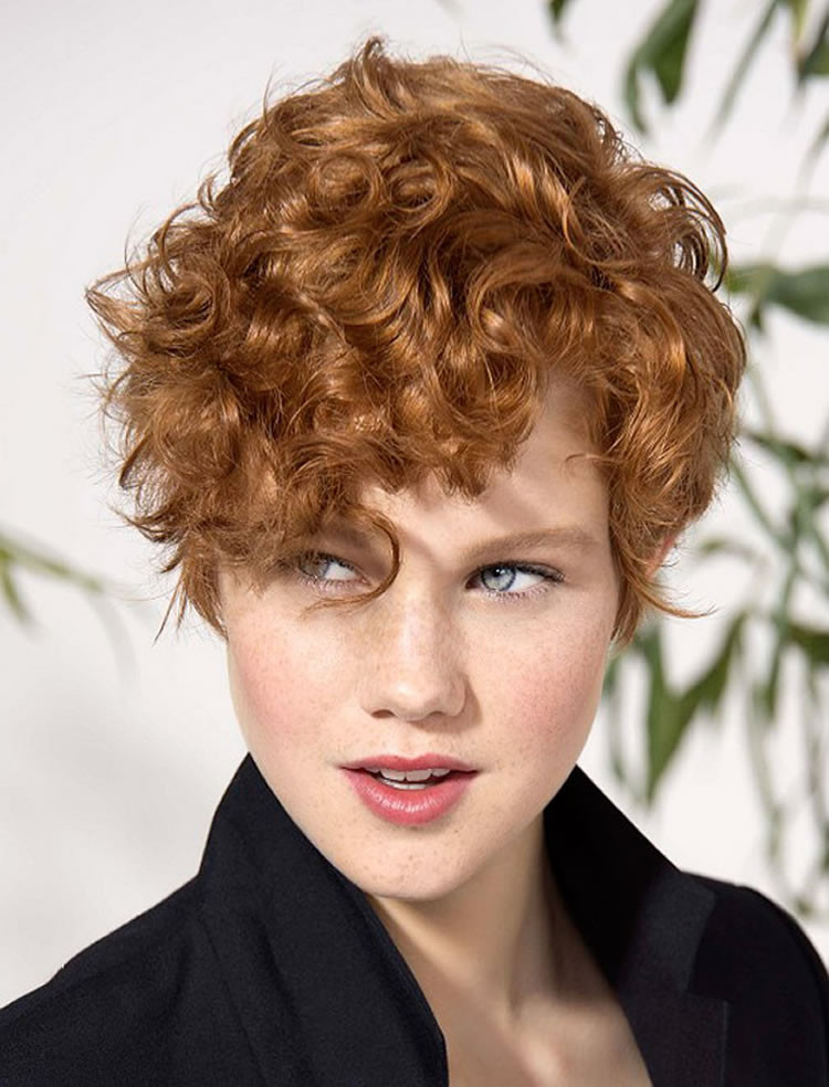 Short Hairstyle For Curly Hair
 31 Most Magnetizing Short Curly Hairstyles in 2020 2021