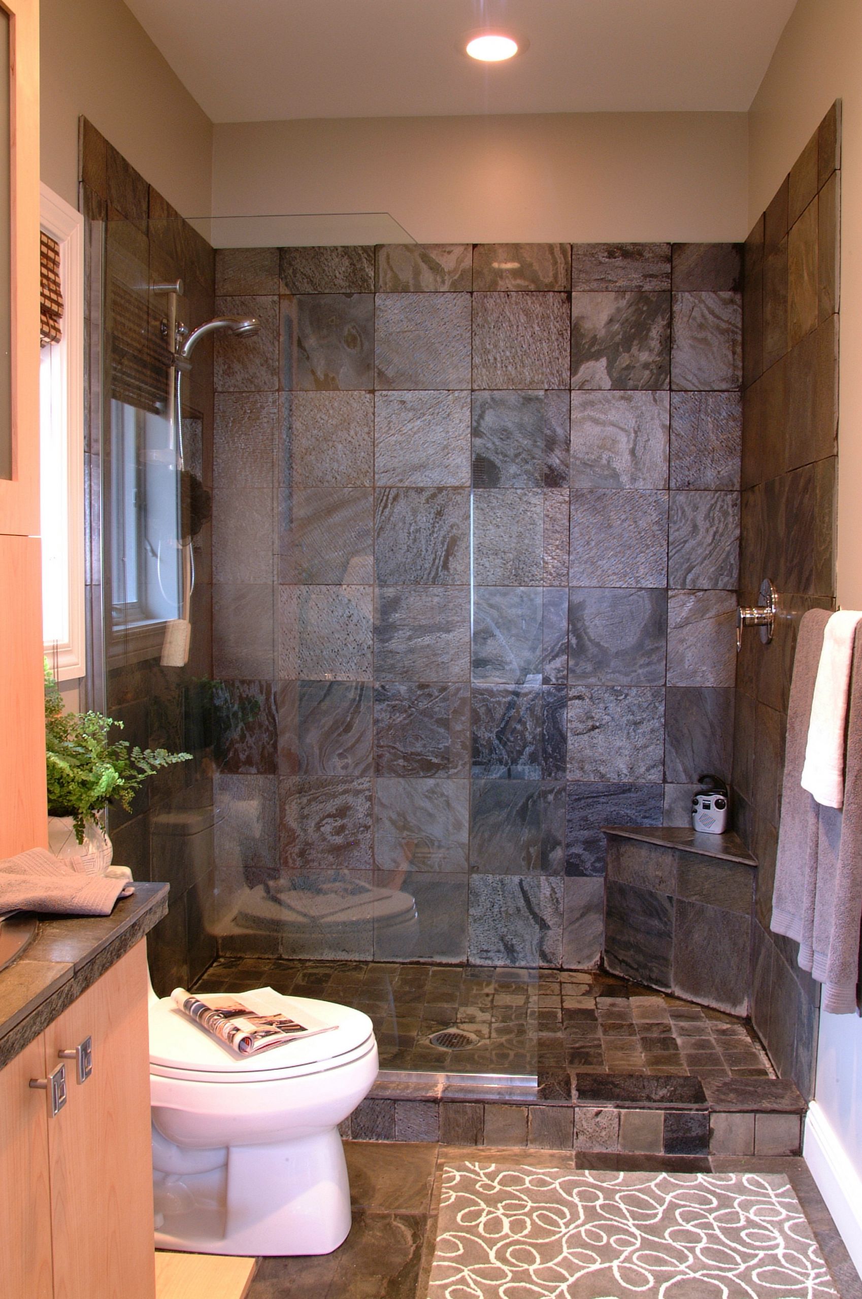 Shower Bathroom Ideas
 Modern Bathroom Design Ideas with Walk In Shower