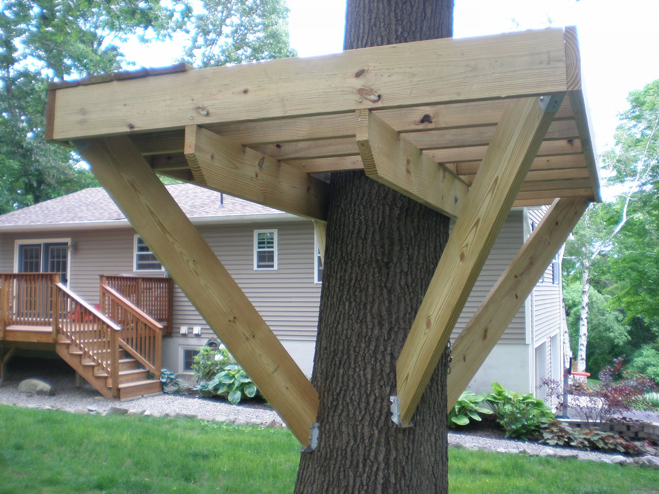 Simple Backyard Fort Plans
 Tree Fort Platform