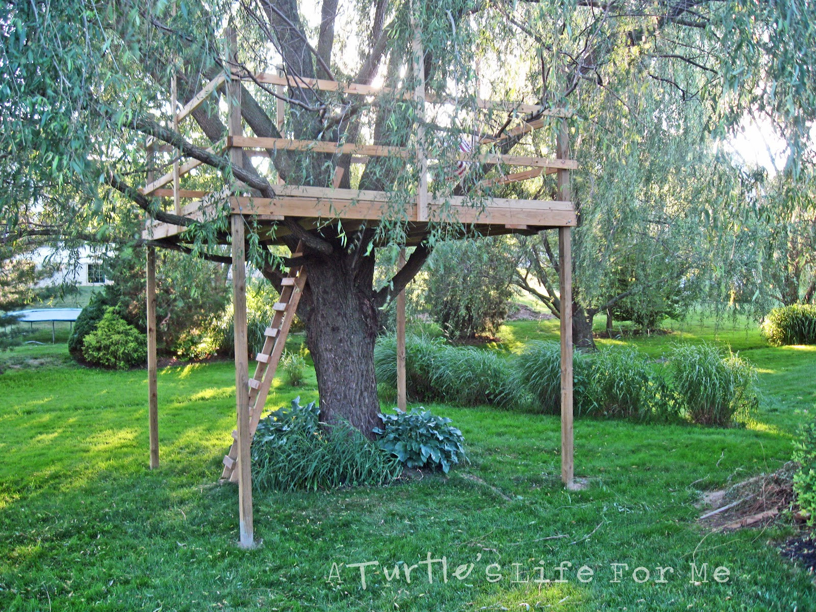 Simple Backyard Fort Plans
 Tree Fort with a Swing A Turtle s Life for Me