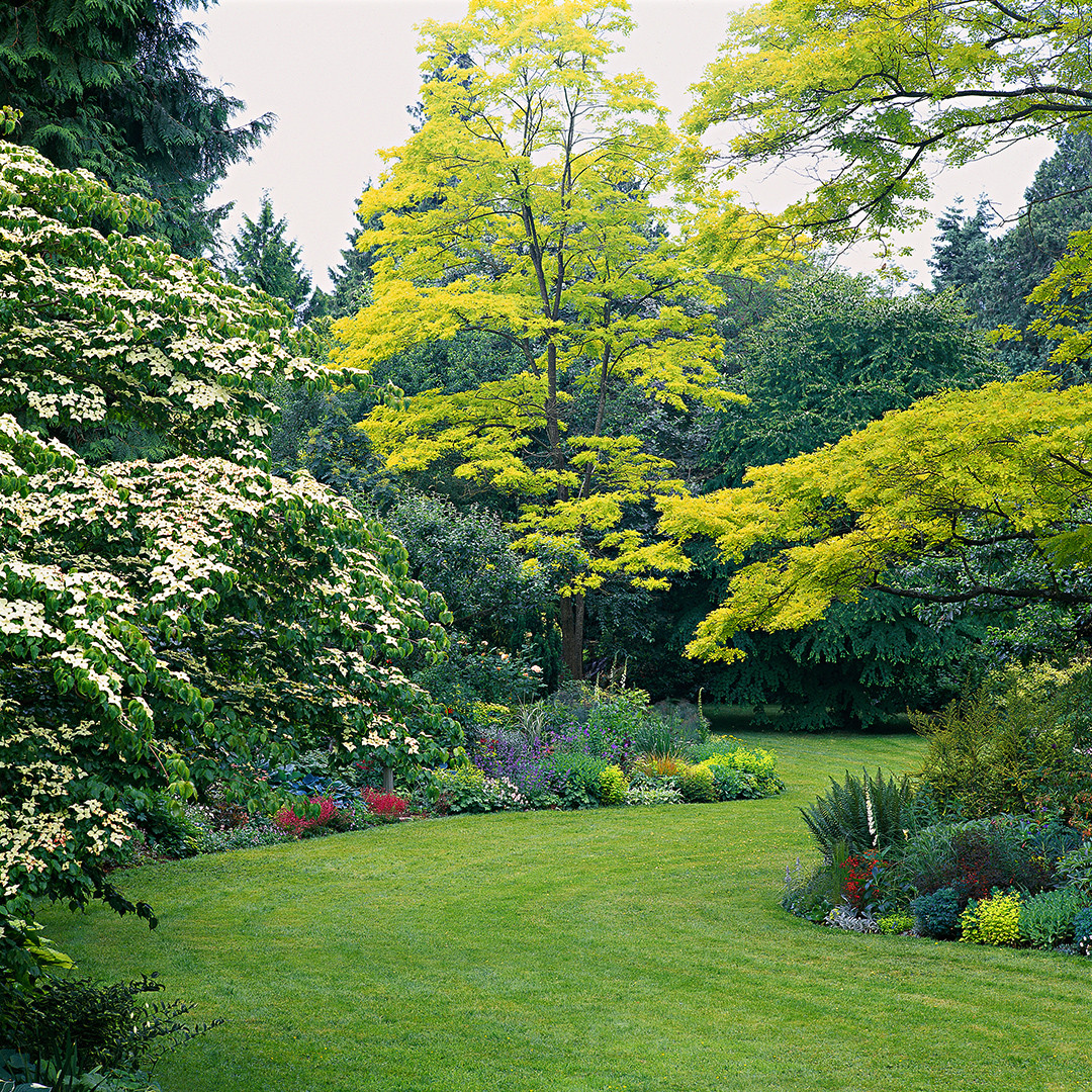 Simple Outdoor Landscape
 Easy Landscaping Ideas You Can Try
