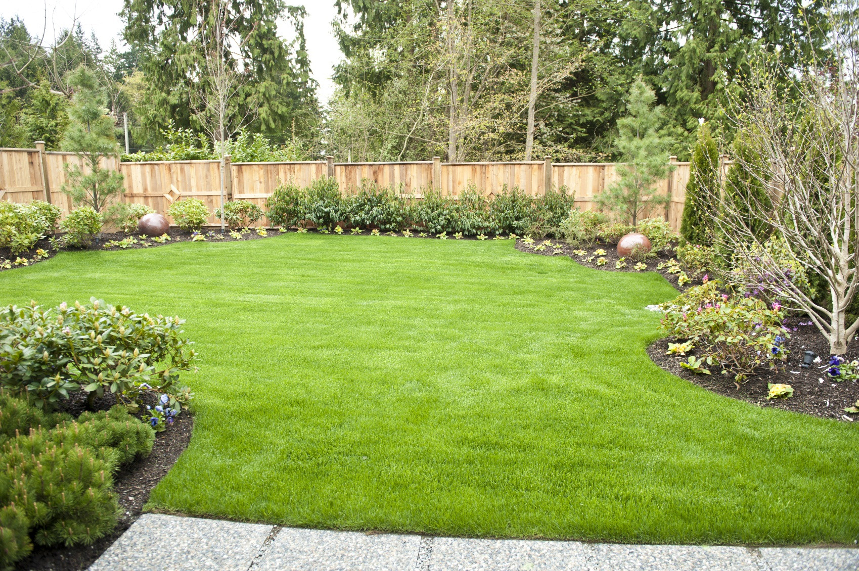 Simple Outdoor Landscape
 Backyard Landscaping Tips