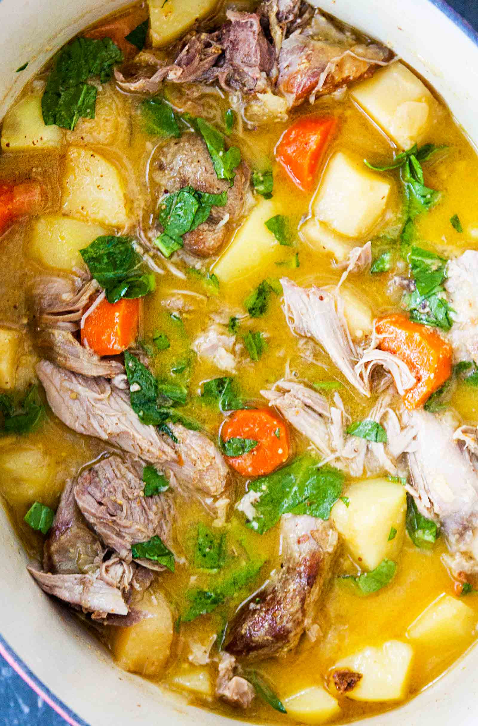 Slow Cooker Turkey Stew
 Slow Cooker Turkey Stew with Mustard and Root Ve ables