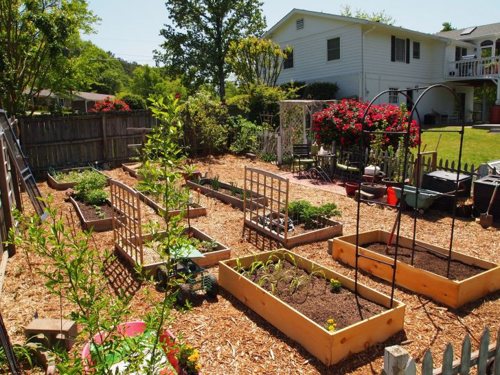 Small Backyard Vegetable Garden Ideas
 35 Advantageous Small Ve able Garden Ideas for Your