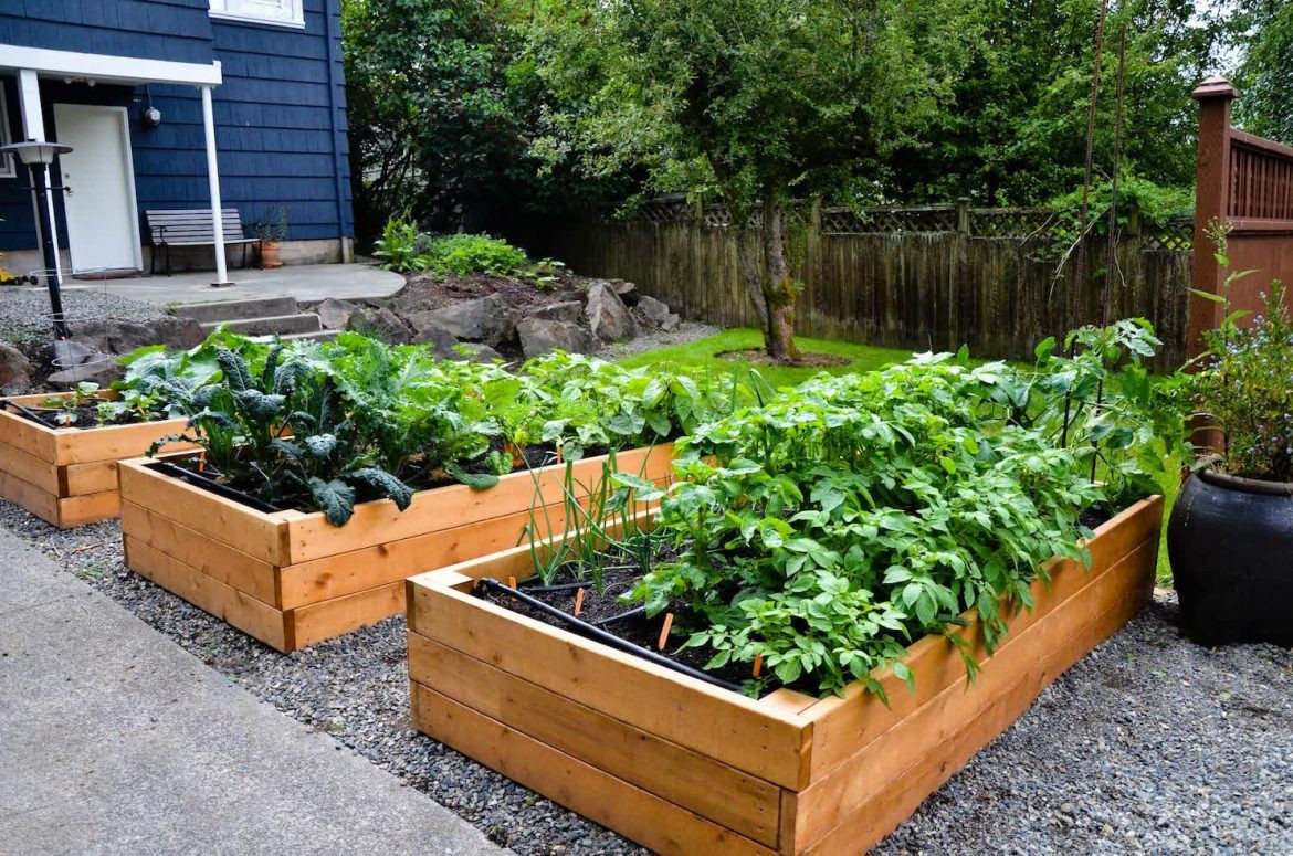 Small Backyard Vegetable Garden Ideas
 Cool Raised Ve able Garden Design Ideas – Incredible